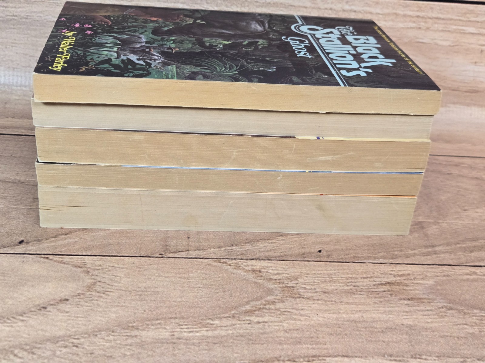 Lot of 5 The Black Stallion Paperbacks 1980s Walter Farley Very Good