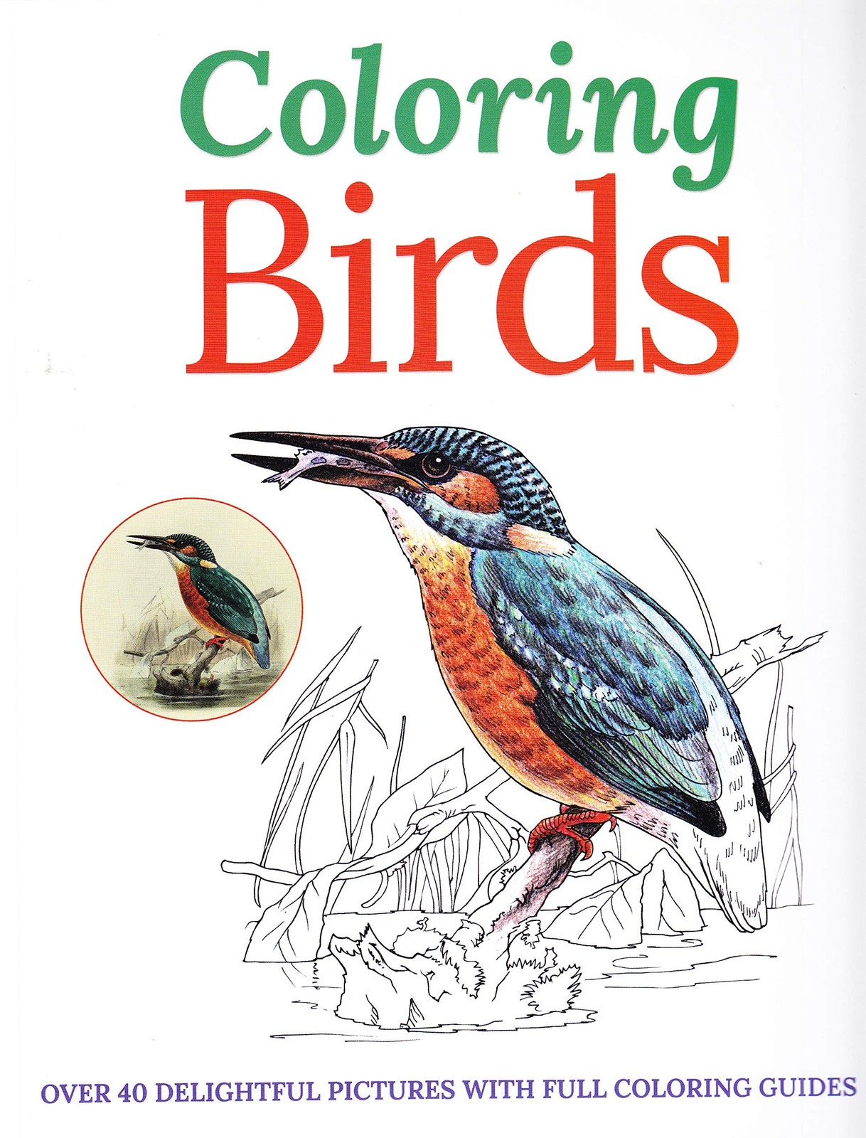 Coloring Birds – paperback Arcturus Publishing