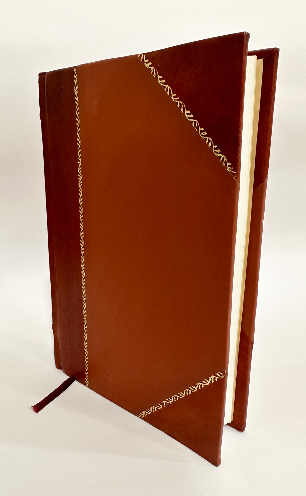 The Testing of a Nation (1919) [Leather Bound]