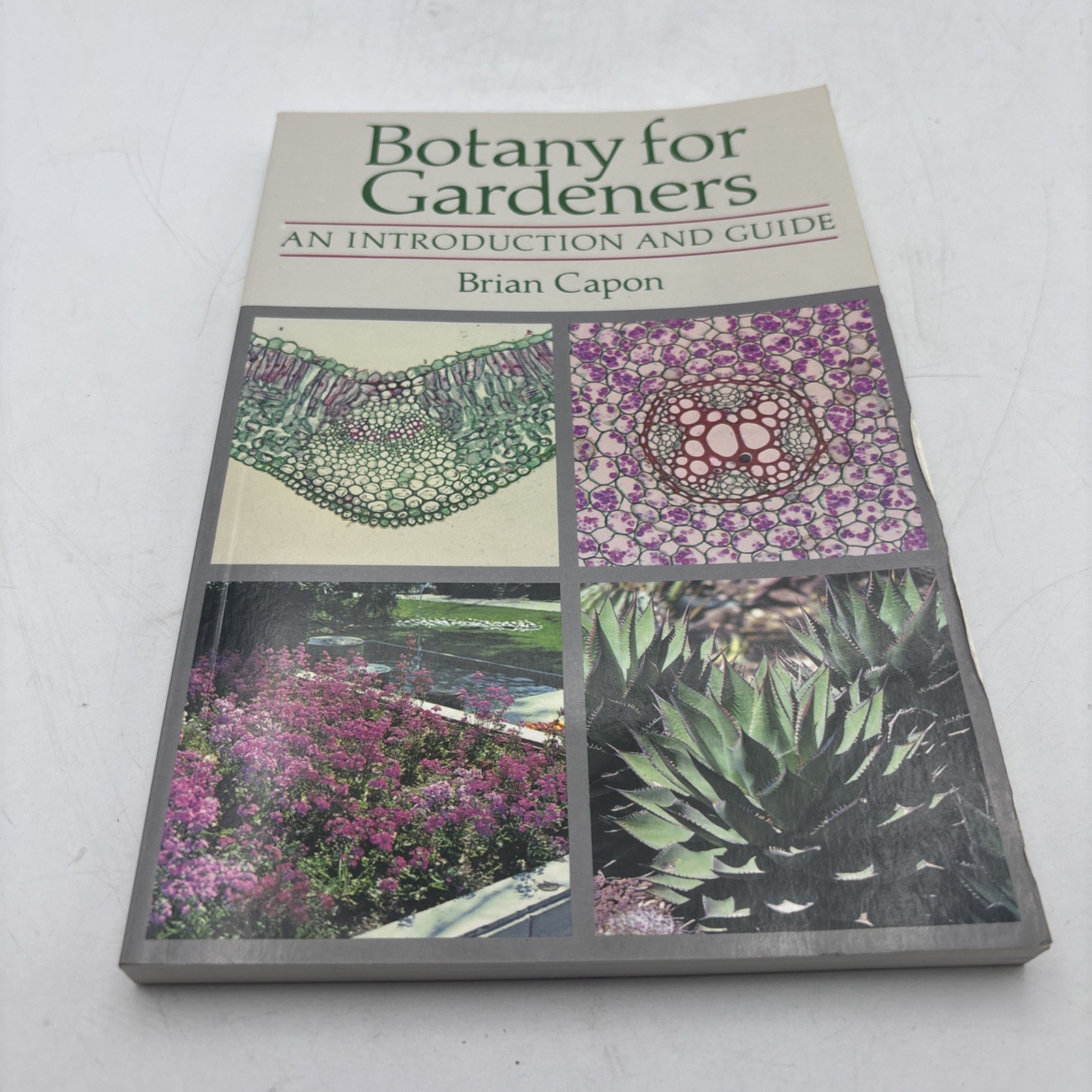 Botany for Gardeners : An Introduction and Guide by Brian Capon (1992, Trade…