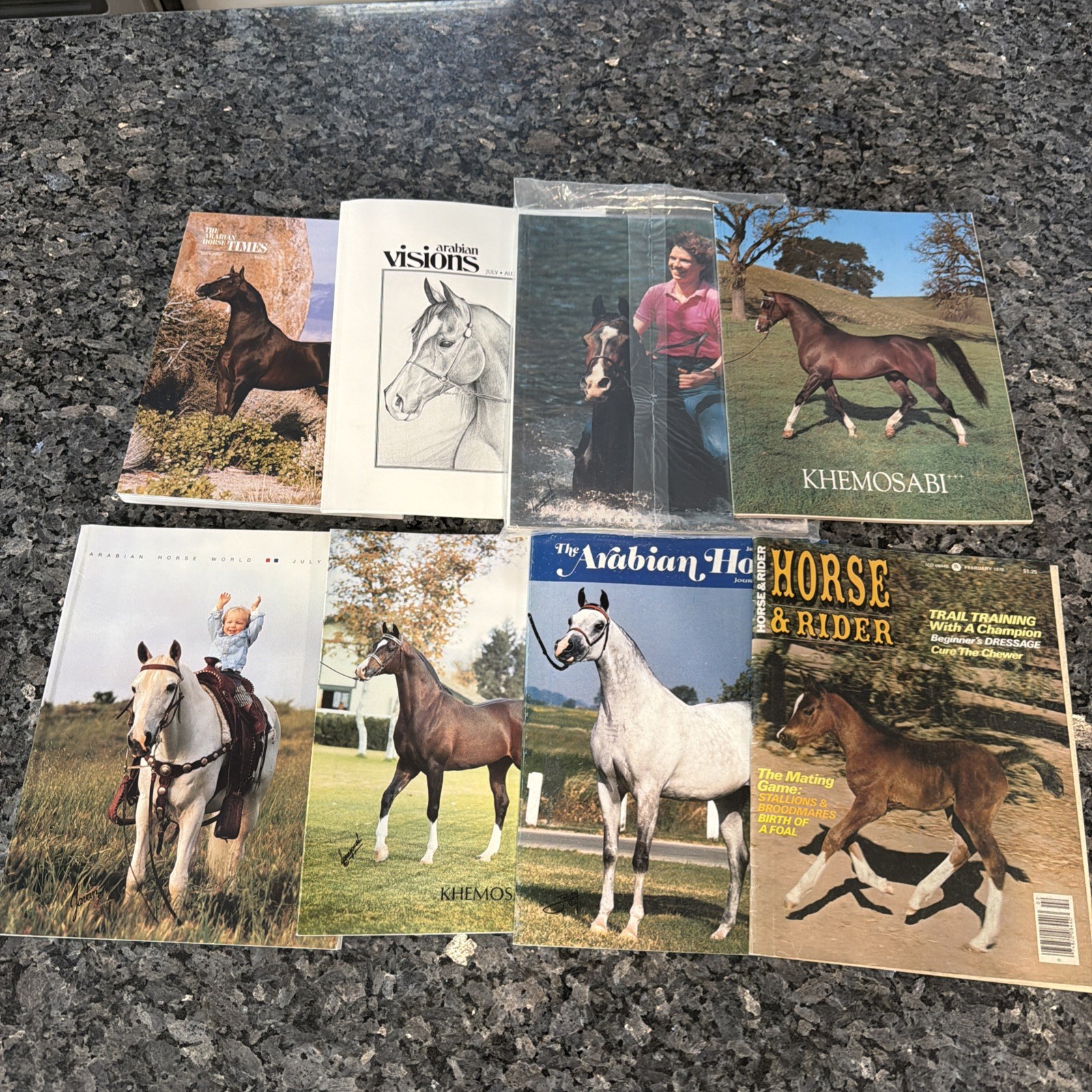 Lot Of Horse Books, Magazines Arabian Horses